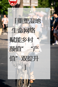 重塑湿地生命网络 赋能乡村“颜值”“产值”双提升