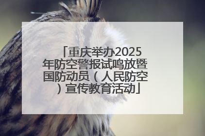 重庆举办2025年防空警报试鸣放暨国防动员（人民防空）宣传教育活动