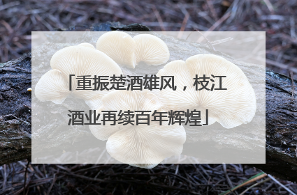 重振楚酒雄风，枝江酒业再续百年辉煌