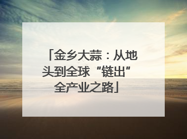 金乡大蒜：从地头到全球“链出”全产业之路