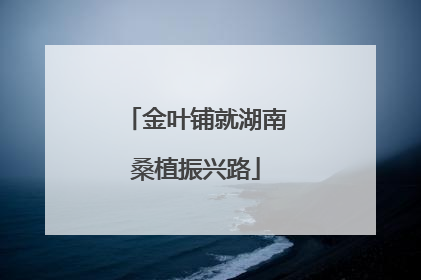 金叶铺就湖南桑植振兴路