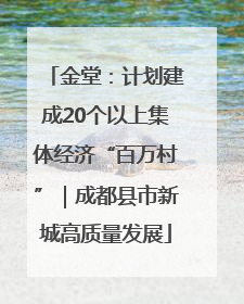 金堂：计划建成20个以上集体经济“百万村”｜成都县市新城高质量发展