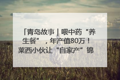 青岛故事｜喂中药“养生餐”，年产值80万！莱西小伙让“自家产”锦鲤“游”向全国