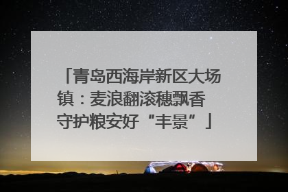 青岛西海岸新区大场镇：麦浪翻滚穗飘香 守护粮安好“丰景”