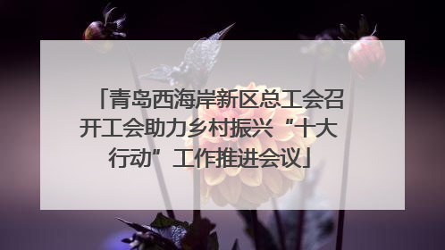 青岛西海岸新区总工会召开工会助力乡村振兴“十大行动”工作推进会议
