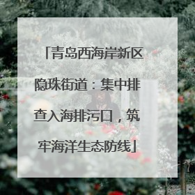 青岛西海岸新区隐珠街道：集中排查入海排污口，筑牢海洋生态防线