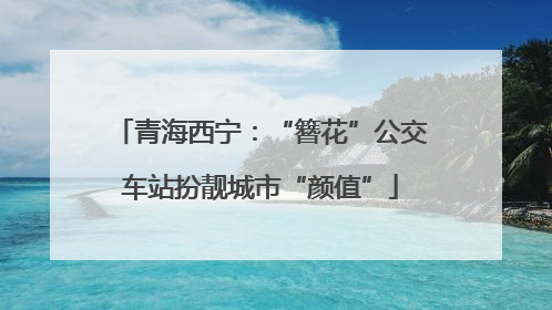 青海西宁：“簪花”公交车站扮靓城市“颜值”