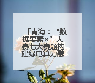 青海：“数据要素×”大赛七大赛题构建绿电算力融合新生态