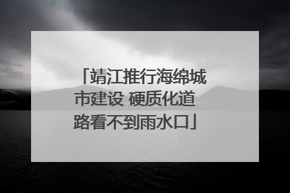 靖江推行海绵城市建设 硬质化道路看不到雨水口