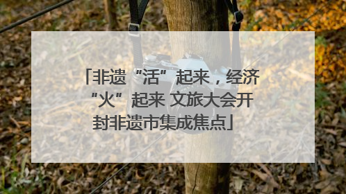 非遗“活”起来，经济“火”起来 文旅大会开封非遗市集成焦点