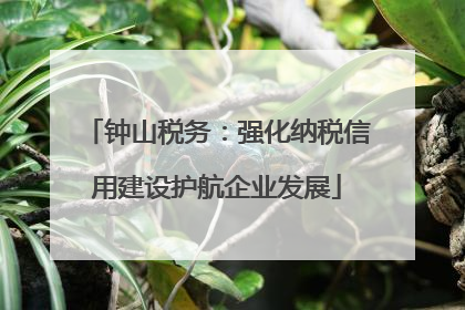 钟山税务：强化纳税信用建设护航企业发展