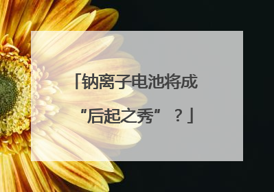 钠离子电池将成“后起之秀”？