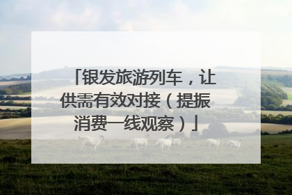 银发旅游列车，让供需有效对接（提振消费一线观察）