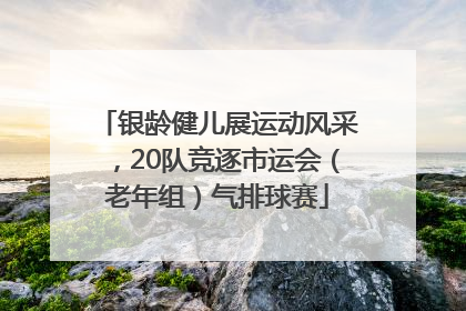 银龄健儿展运动风采，20队竞逐市运会（老年组）气排球赛