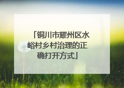 铜川市耀州区水峪村乡村治理的正确打开方式