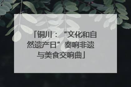 铜川：“文化和自然遗产日”奏响非遗与美食交响曲