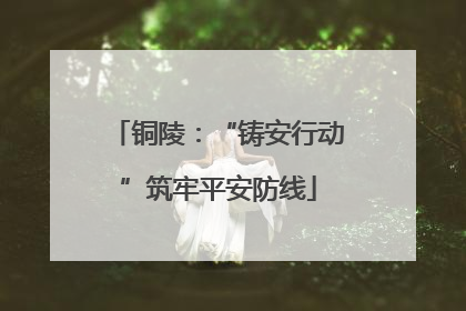 铜陵：“铸安行动”筑牢平安防线