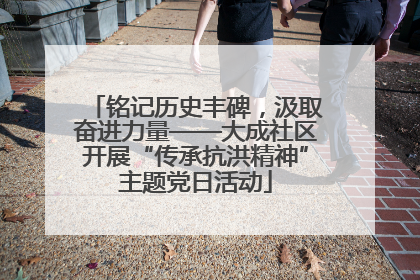 铭记历史丰碑，汲取奋进力量——大成社区开展“传承抗洪精神”主题党日活动