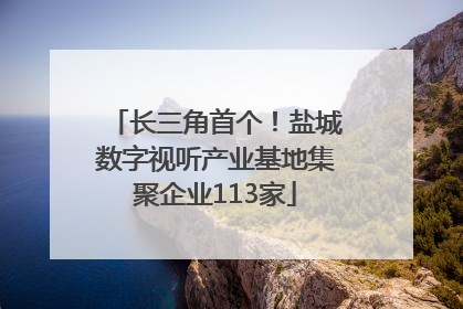 长三角首个！盐城数字视听产业基地集聚企业113家