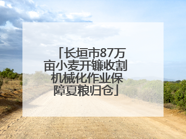 长垣市87万亩小麦开镰收割 机械化作业保障夏粮归仓