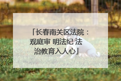 长春南关区法院：观庭审 明法纪 法治教育入人心