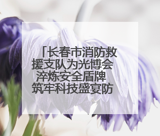 长春市消防救援支队为光博会淬炼安全盾牌 筑牢科技盛宴防火墙