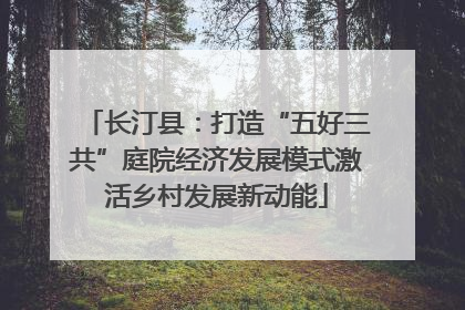 长汀县：打造“五好三共”庭院经济发展模式激活乡村发展新动能