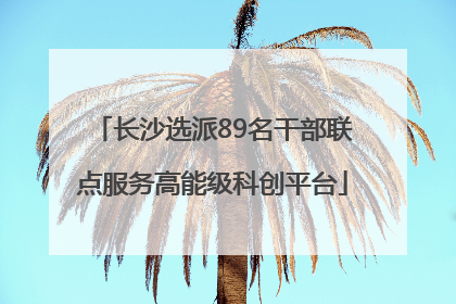 长沙选派89名干部联点服务高能级科创平台