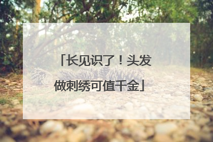 长见识了！头发做刺绣可值千金
