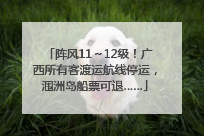阵风11～12级！广西所有客渡运航线停运，涠洲岛船票可退……
