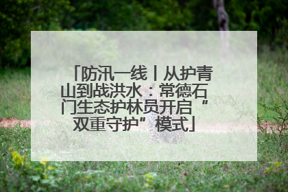 防汛一线丨从护青山到战洪水：常德石门生态护林员开启“双重守护”模式