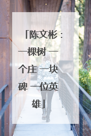 陈文彬：一棵树 一个庄 一块碑 一位英雄
