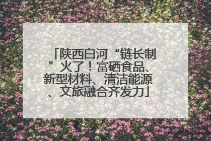 陕西白河“链长制”火了！富硒食品、新型材料、清洁能源、文旅融合齐发力