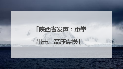 陕西省发声：重拳出击、高压震慑