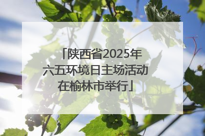 陕西省2025年六五环境日主场活动在榆林市举行