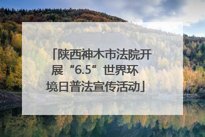 陕西神木市法院开展“6.5”世界环境日普法宣传活动