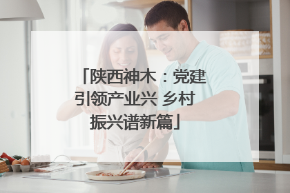 陕西神木：党建引领产业兴 乡村振兴谱新篇