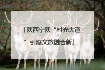 陕西宁陕“村光大道”引爆文旅融合新