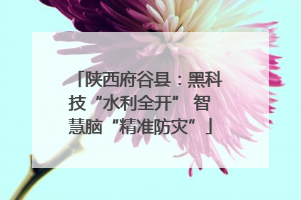 陕西府谷县：黑科技“水利全开” 智慧脑“精准防灾”