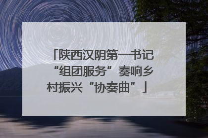 陕西汉阴第一书记“组团服务”奏响乡村振兴“协奏曲”