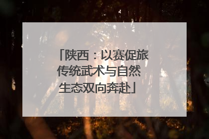 陕西：以赛促旅 传统武术与自然生态双向奔赴