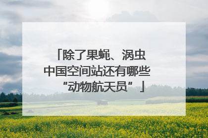 除了果蝇、涡虫 中国空间站还有哪些“动物航天员”