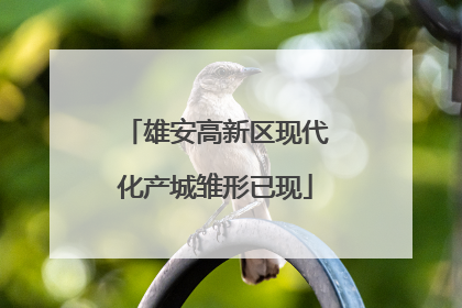 雄安高新区现代化产城雏形已现