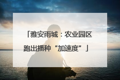 雅安雨城：农业园区跑出播种“加速度”
