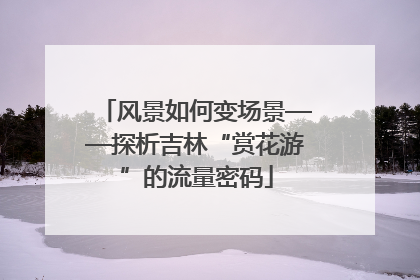 风景如何变场景——探析吉林“赏花游”的流量密码