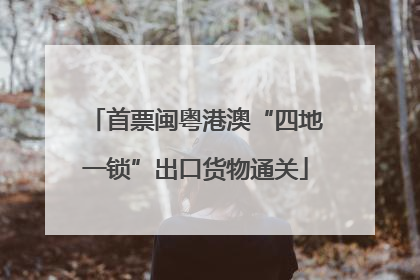 首票闽粤港澳“四地一锁”出口货物通关