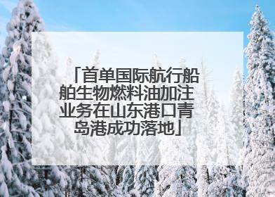 首单国际航行船舶生物燃料油加注业务在山东港口青岛港成功落地