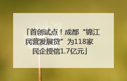 首创试点！成都“锦江民营发展贷”为118家民企授信1.7亿元