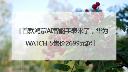 首款鸿蒙AI智能手表来了，华为WATCH 5售价2699元起