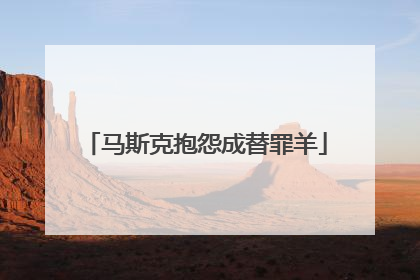 马斯克抱怨成替罪羊